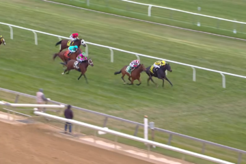Horse race on a green turf oval, jockeys in bright silks in a tight group near the rail, mid-curve.