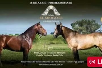 Poster advertising a horse auction event on April 18, featuring two horses facing each other in a grassy field, with the name 'El Sirgote' and event logos.