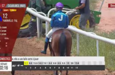 Horse race on a dirt track with a brown horse and a jockey in a purple helmet; on-screen odds, timer, and broadcast graphics.