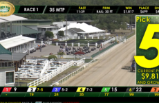 Tampa Bay Downs racecourse with grandstand and tote boards; race banner reads Race 1 and 35 MTP, Pick 5 ad on right showing current pool $9,815