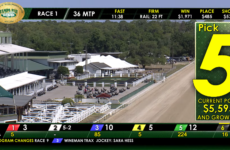 Aerial view of Tampa Bay Downs race track with large Pick 5 graphic on the right, plus race status banners along the top and an odds ticker at the bottom.