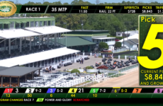 Overview of Tampa Bay Downs grandstand with a large yellow Pick 5 panel on the right and a race odds ticker along the bottom.