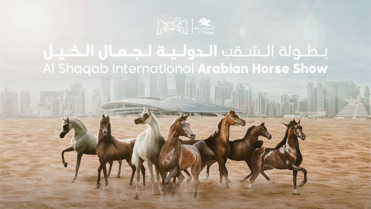 Al Shaqab International Arabian Horse Show - Total Horse Channel ...