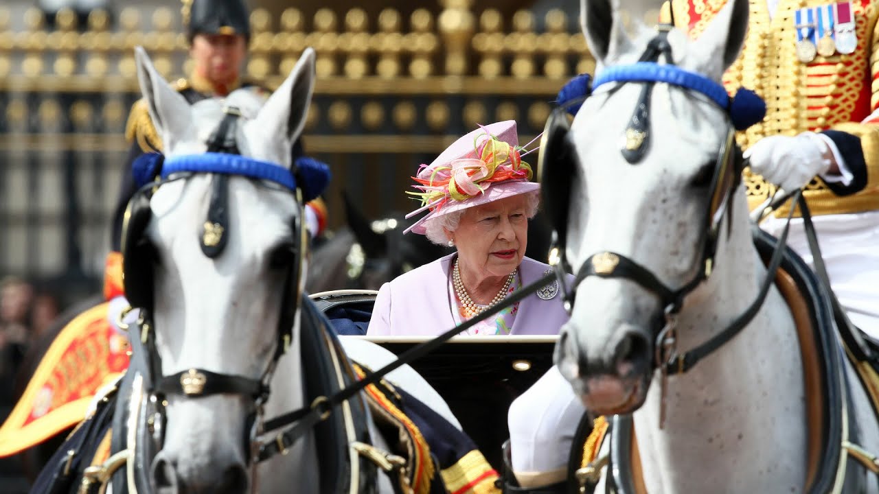 All The Queen’s Horses Full British Royal Documentary Total Horse