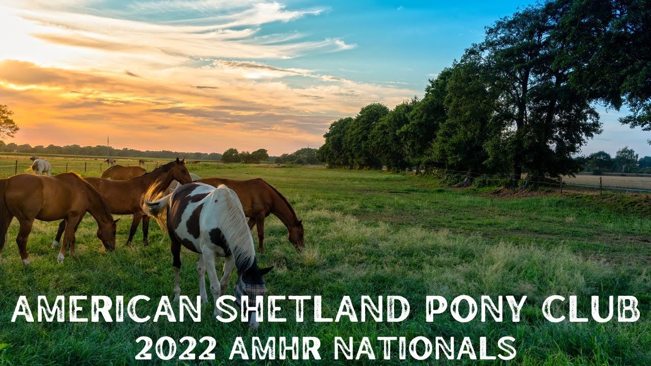 AMHR Nationals Ford Truck Arena September 12th Total Horse Channel