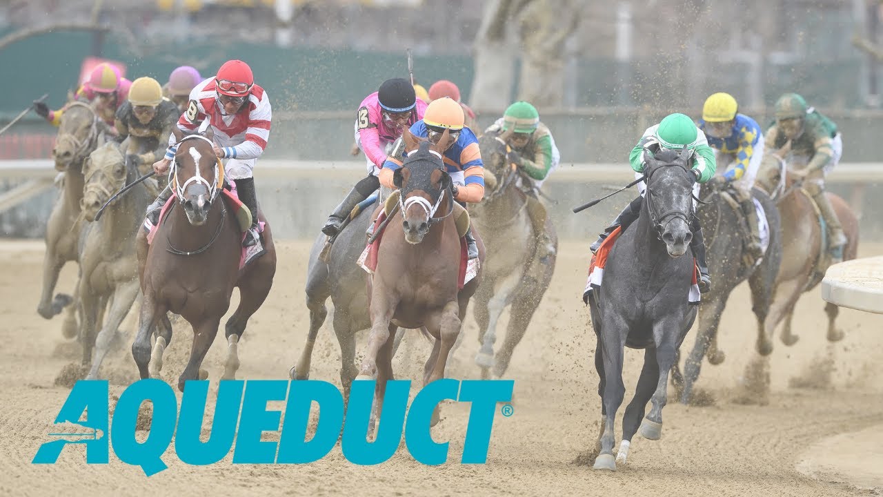 Aqueduct Racing January 19th, 2024 Total Horse Channel Equestrian TV