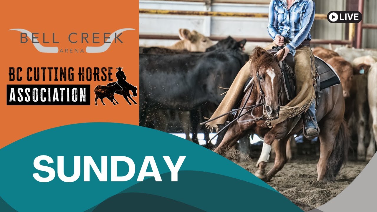 Bell Creek Arena BCCHA Show Saturday Total Horse Channel