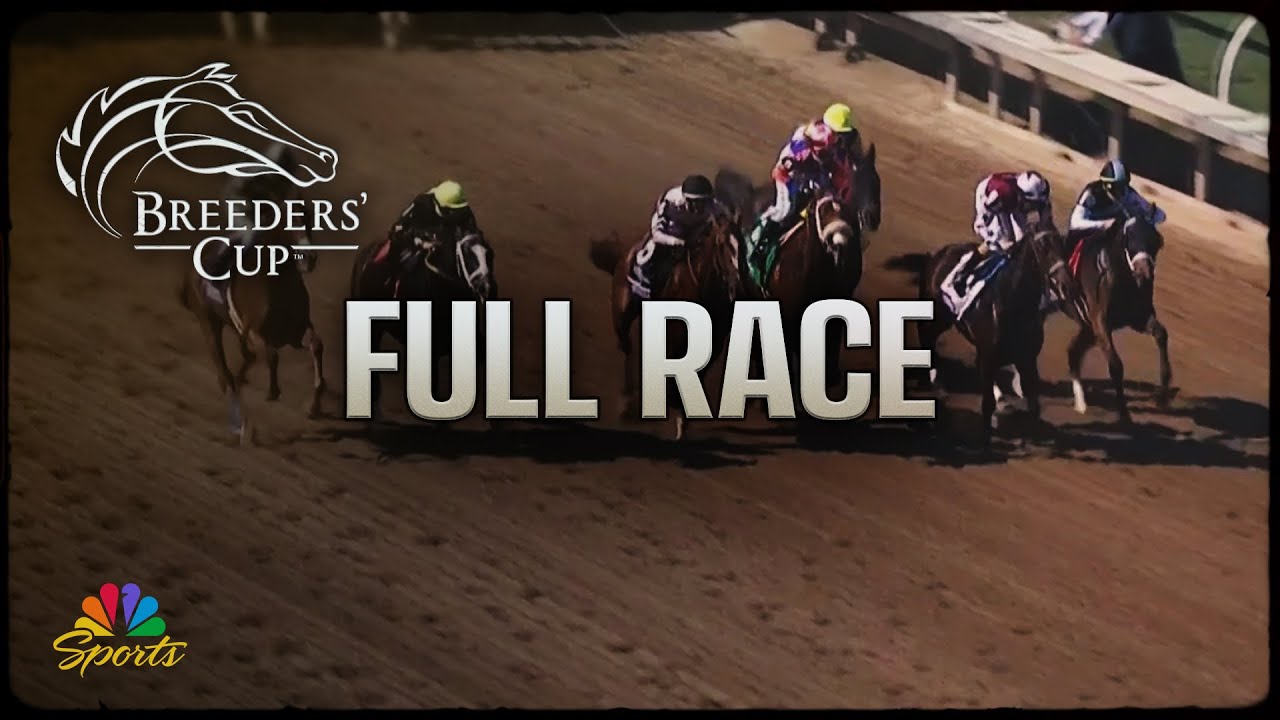 Breeders’ Cup 2024 Distaff NBC Sports Total Horse Channel