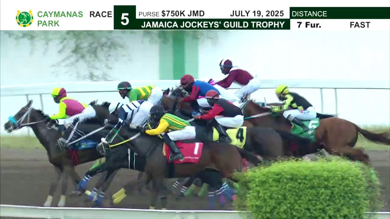 Caymanas Park Jamaica Saturday July 26 2025 Total Horse Channel