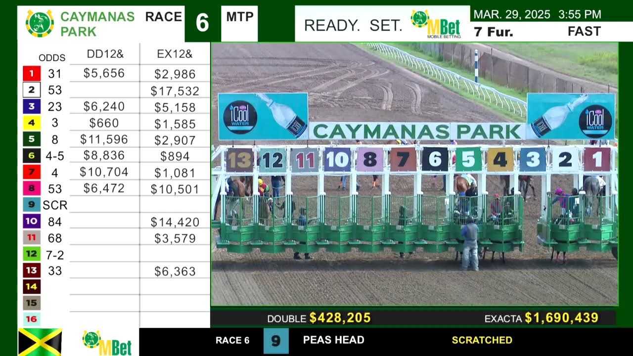 Caymanas Park Jamaica Saturday March 29 2025 Total Horse Channel