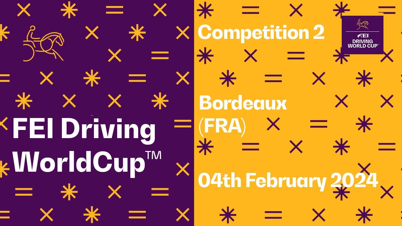 Competition 2 FEI Driving World Cup™ Final 2024 Bordeaux Total