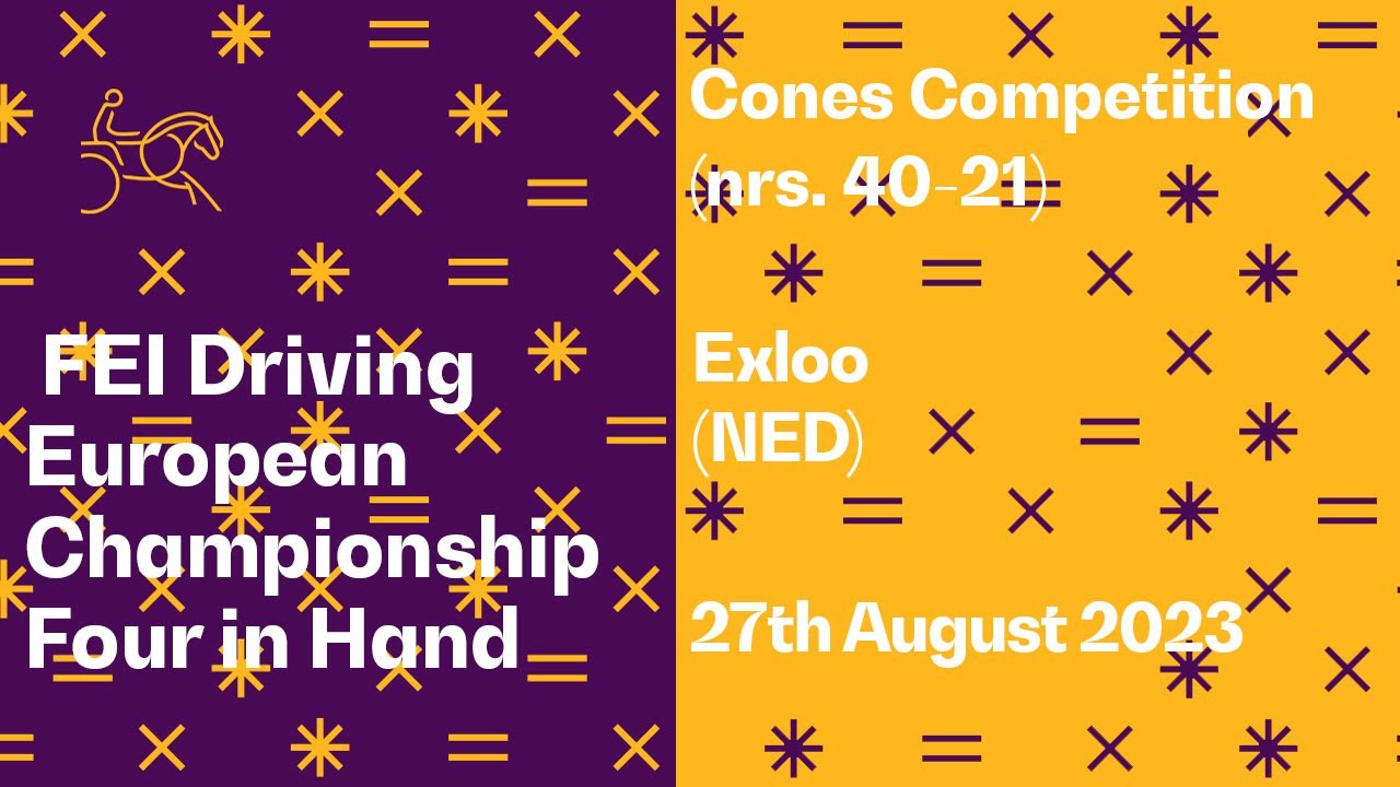 Cones Competition (nrs. 4021) I FEI Driving European Championship Four