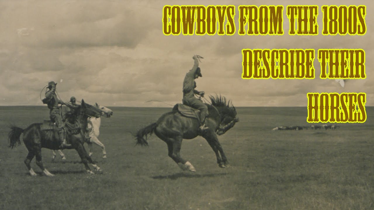 Cowboys From The 1800s Describe Their Horses - Total Horse Channel 