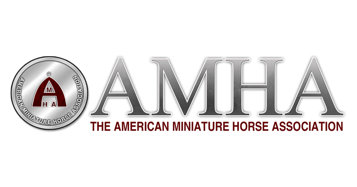 2023 AMHA World Show September 29th Total Horse Channel Equestrian TV