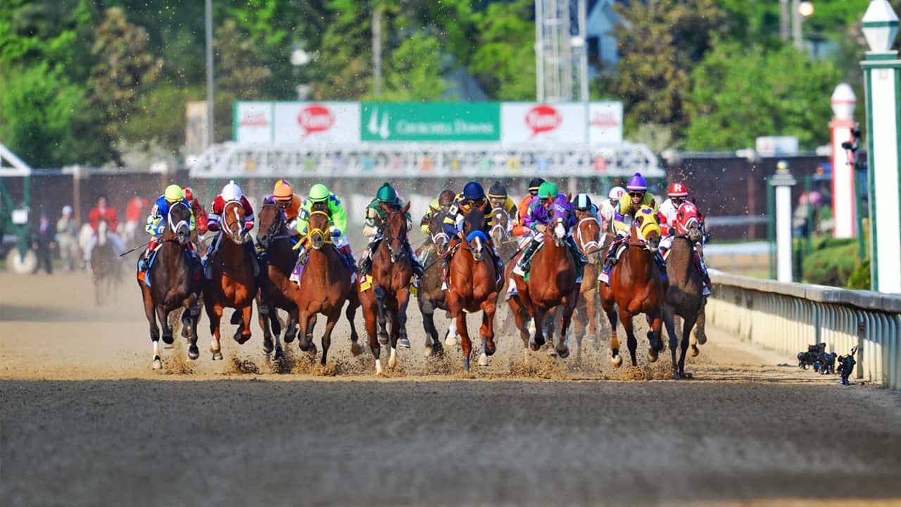 Derby and Oaks Morning Works Show LIVE Total Horse Channel