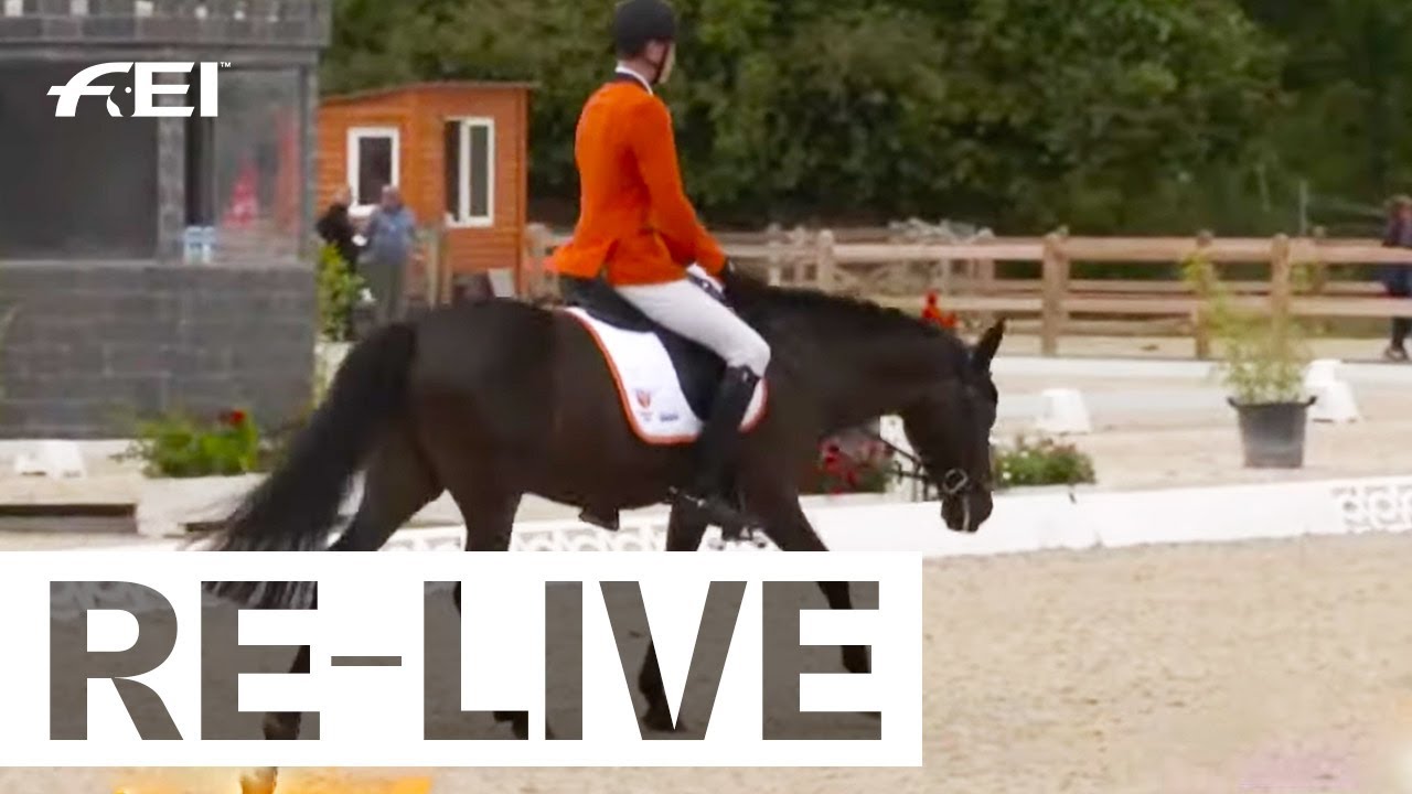 Dressage Group 1 – Eventing – FEI European Championships For Ponies ...