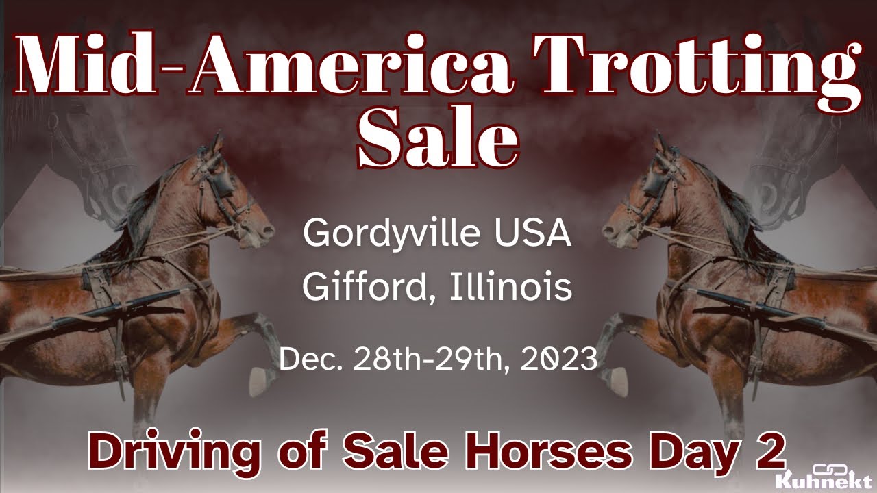 Driving of Sale Horses Day 2 2023 Mid America Trotting Sale Total