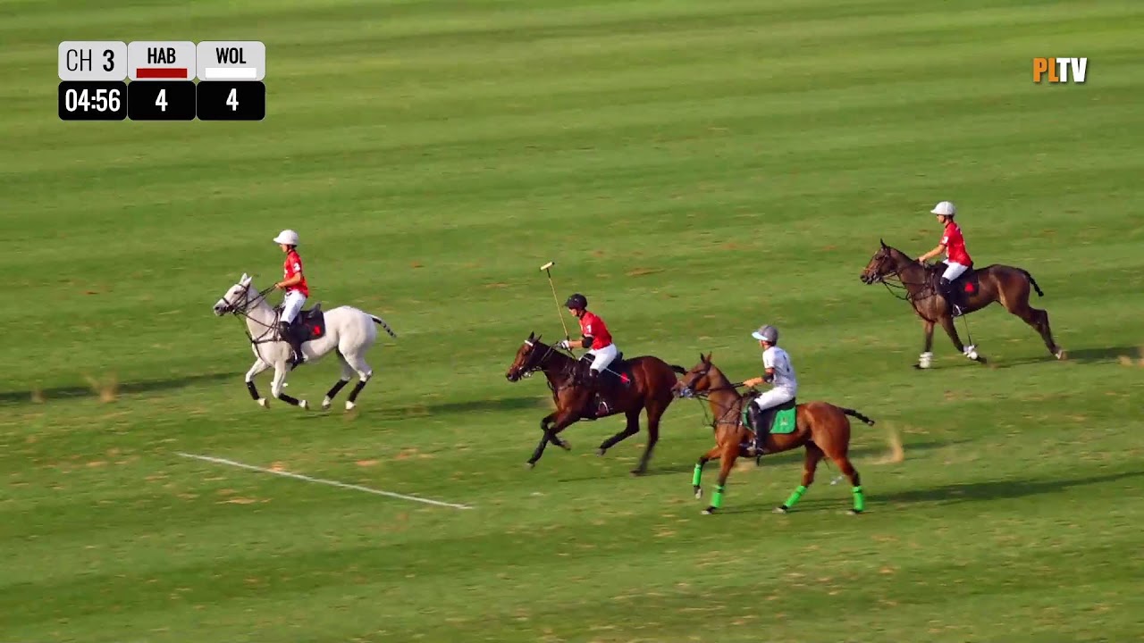 Dubai Gold Cup Final 2024 Habtoor Polo vs Dubai Wolves By Cafu