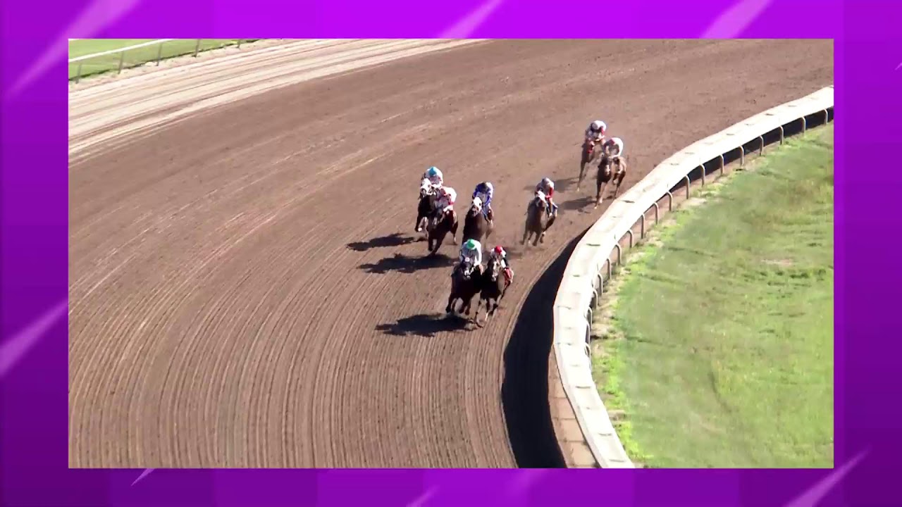 Finger Lakes Racing August 1st, 2023 Total Horse Channel