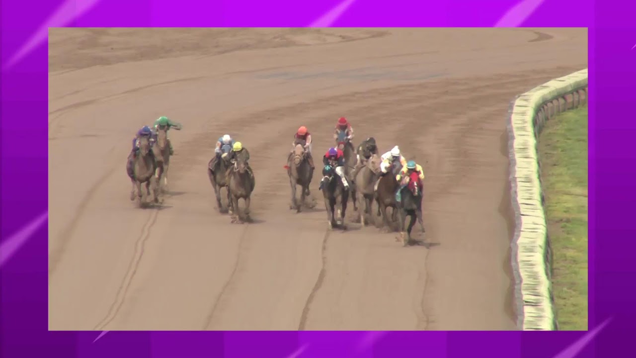 Finger Lakes Racing August 7th, 2023 Total Horse Channel