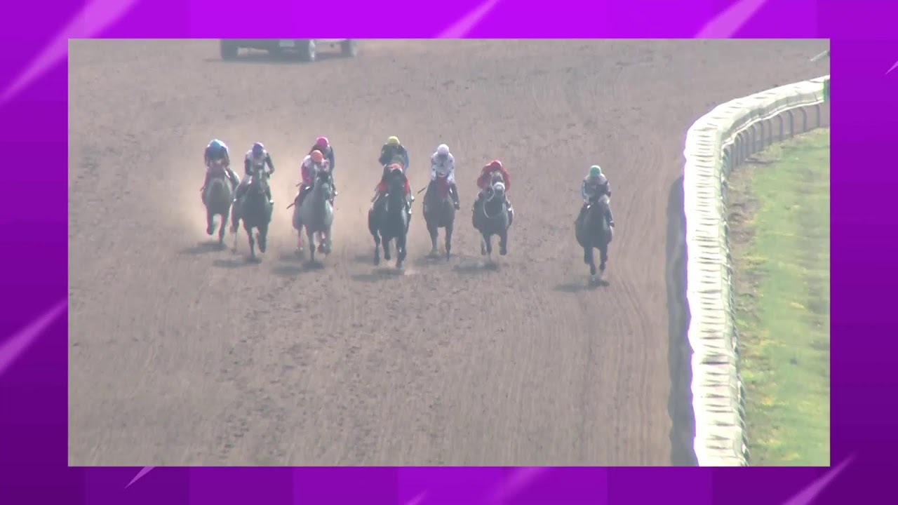Finger Lakes Racing July 18th, 2023 Total Horse Channel Equestrian TV