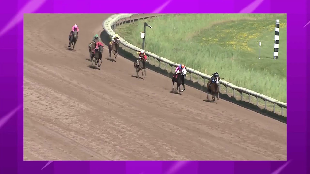 Finger Lakes Racing July 31st, 2023 Total Horse Channel Equestrian TV