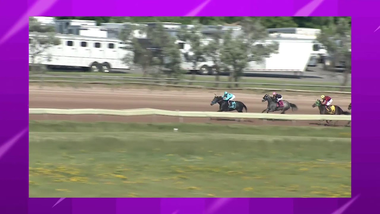 Finger Lakes Racing June 21st, 2023 Total Horse Channel Equestrian TV