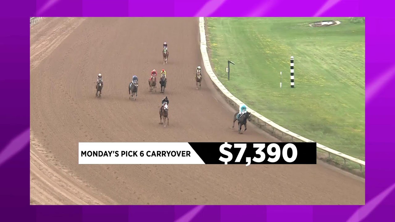 Finger Lakes Racing June 28th, 2023 Total Horse Channel Equestrian TV