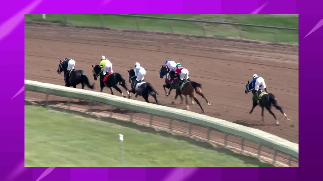 Finger Lakes Racing June 3rd, 2024 Total Horse Channel Equestrian TV