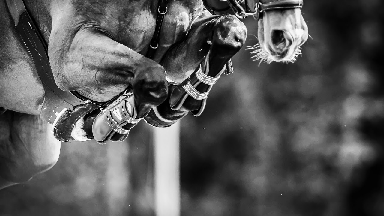 GC LONDON GLOBAL CHAMPION LEAGUE ROUND 2 STUDIO Total Horse