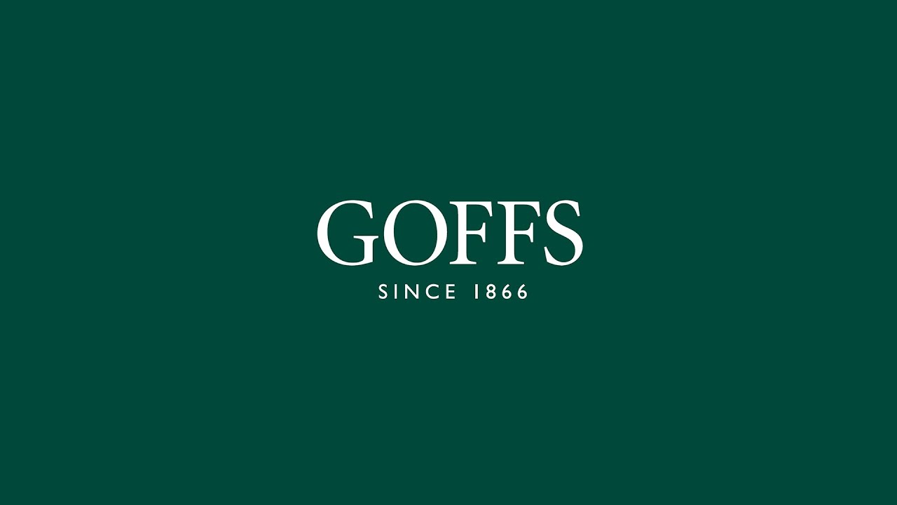 Goffs 2024 Spring HIT/PTP Sale Day 2 Total Horse Channel