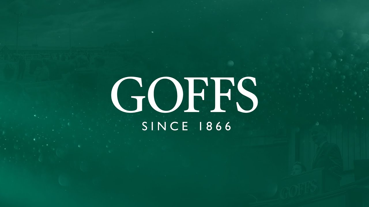 GOFFS November Foal Sale 2023 Day 2 Total Horse Channel