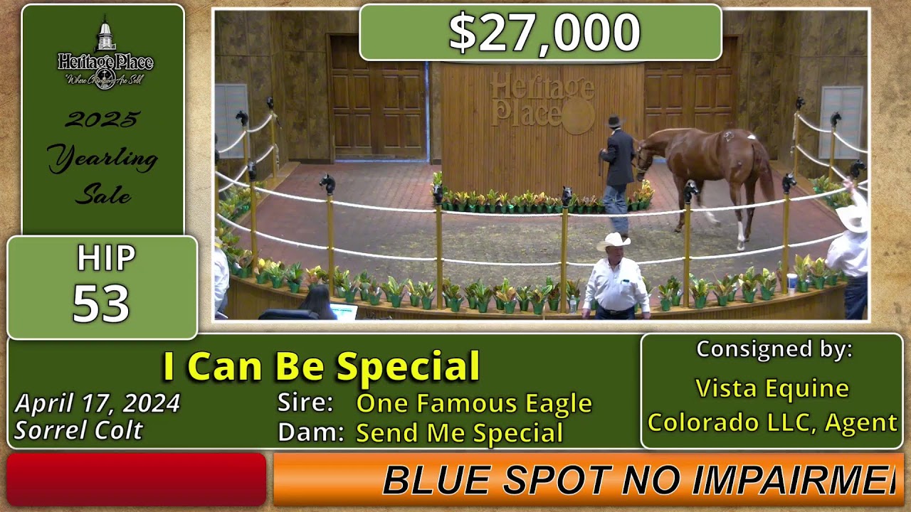 Heritage Place 2025 Quarter Horse Yearling Sale Day One Total Horse