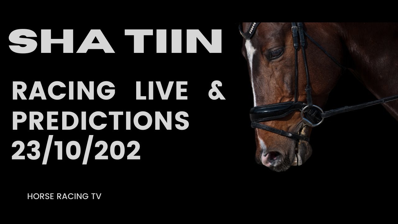 Hong Kong Racing Live Prediction 23/10/2024 Total Horse Channel