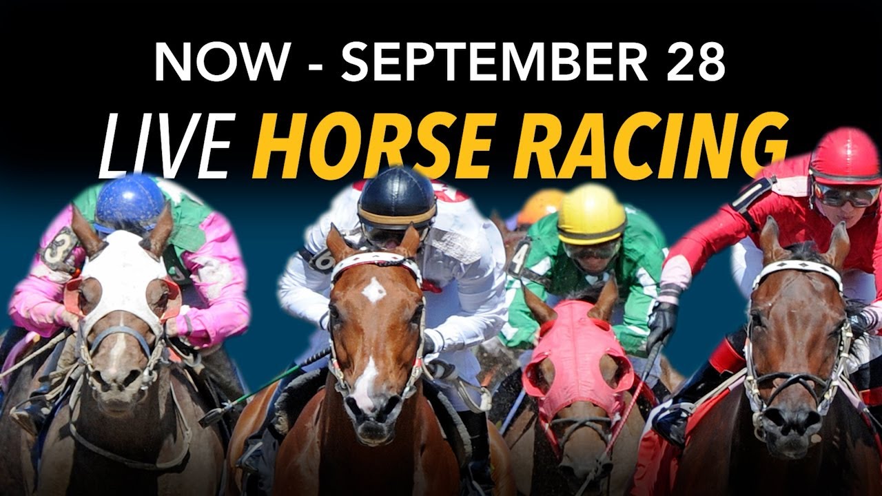Horse Racing at Prairie Meadows May 31st, 2024 Total Horse Channel Equestrian TV