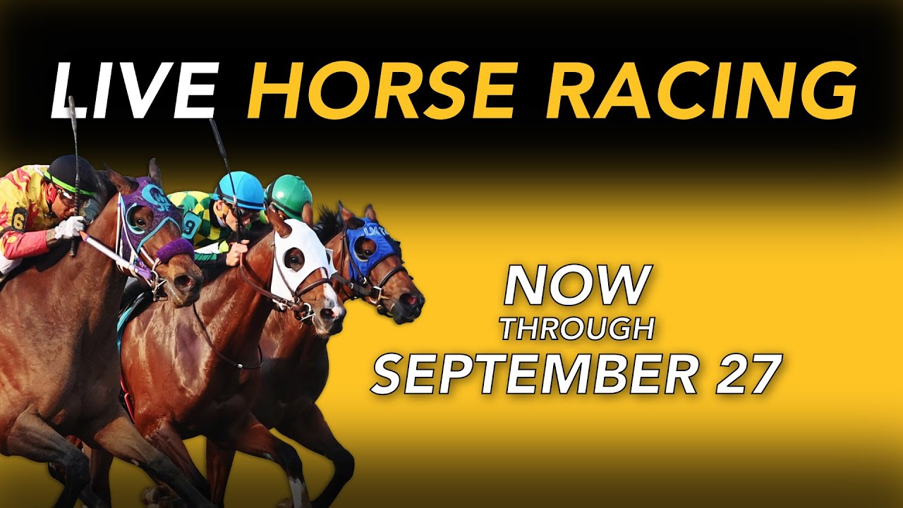 Horse Racing at Prairie Meadows – May 31st, 2025 – Total Horse Channel ...