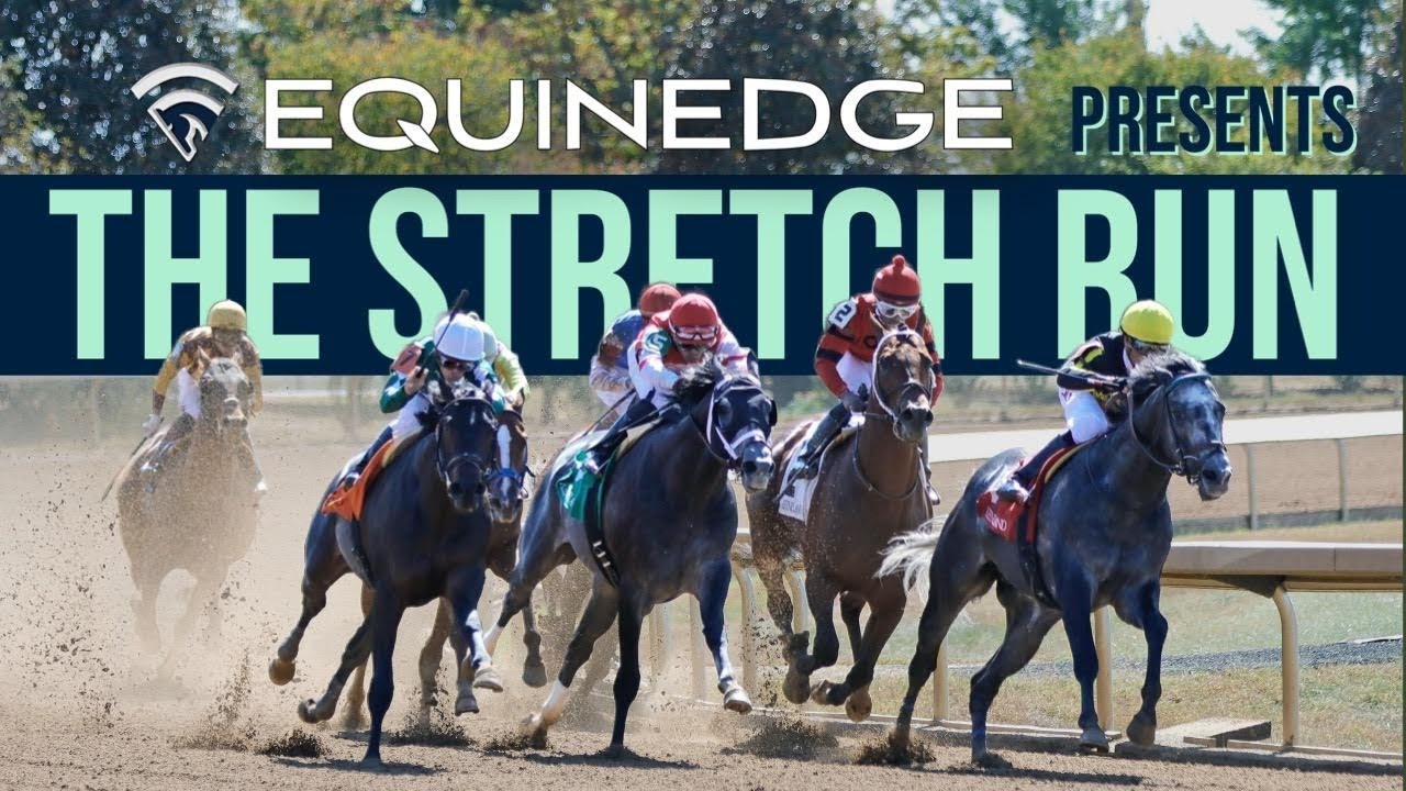 Horse Racing Handicapping : Featuring EquinEdge’s Newest Tool: THE RACE ...