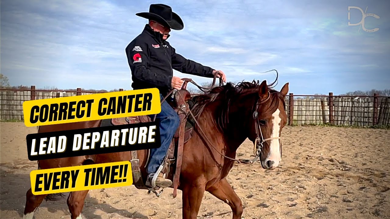 How To Get Correct Canter Lead Departures Every Time Total Horse