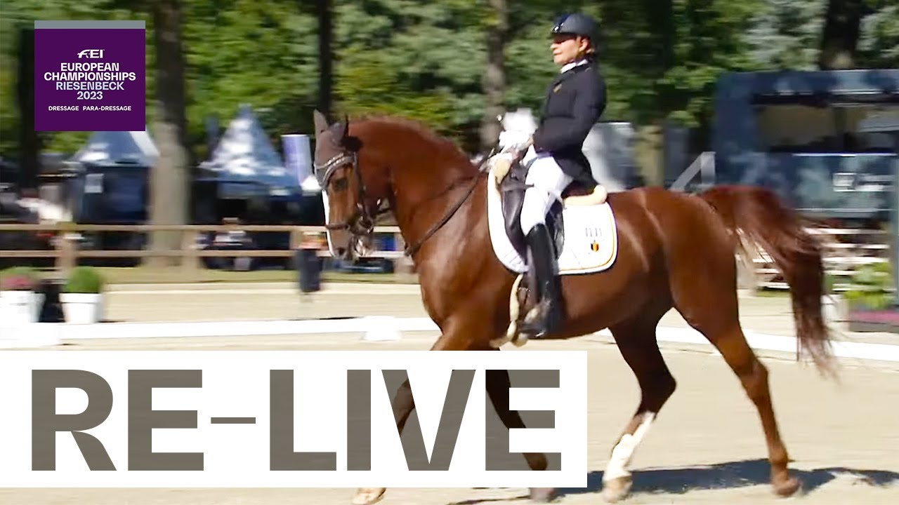 Individual Grade III FEI Para Dressage