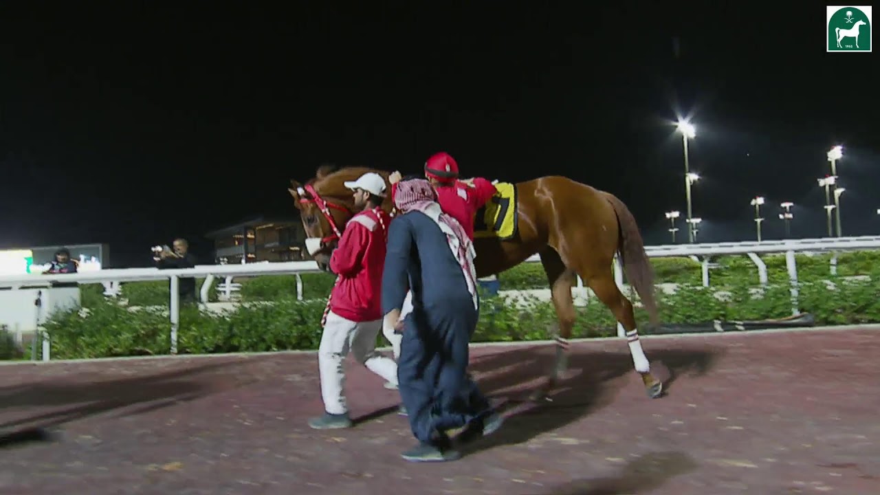 JCSA:RIYADH RACING SEASON FRIDAY FEBRUARY 09 2024 MEETING 101 - Total ...