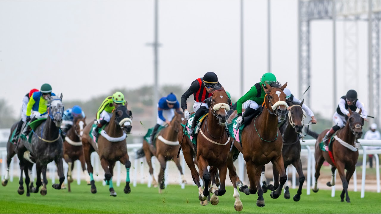 JCSARIYADH RACING SEASON FRIDAY JANUARY 12 2024 MEETING 89 Total