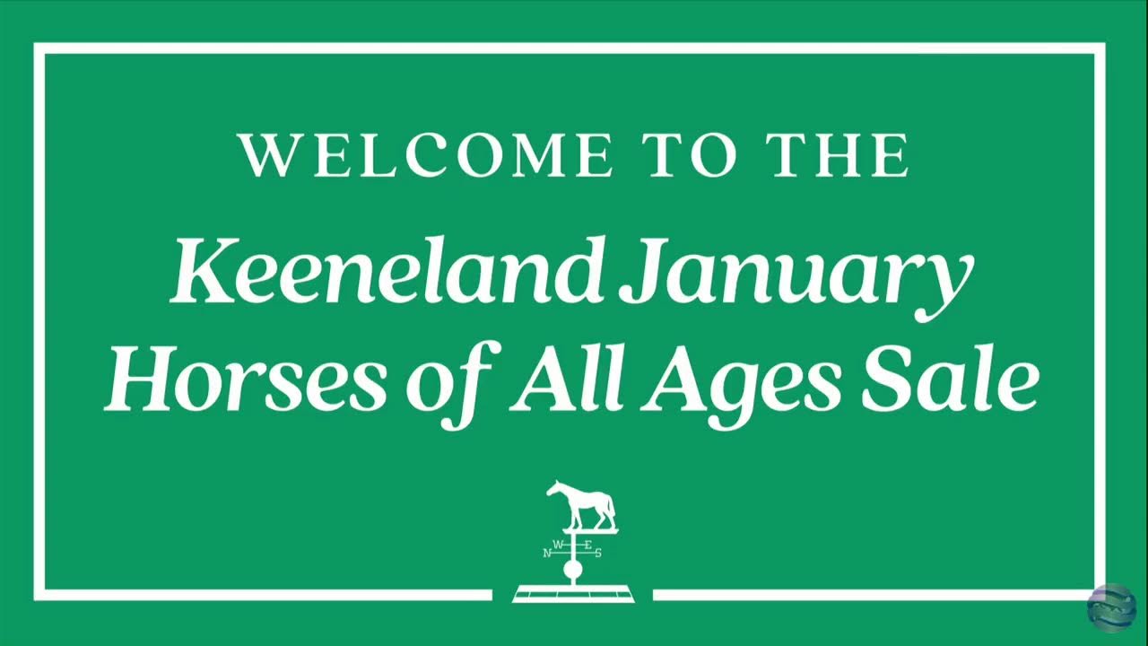 Keeneland January Horses Of All Ages Sale Total Horse Channel