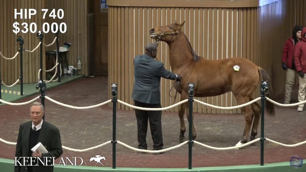 Keeneland | January Horses of All Ages Sale