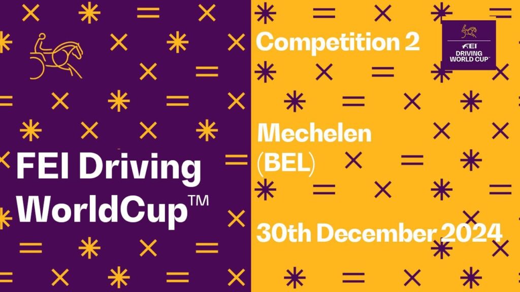 🔴 LIVE | Competition 2 - FEI Driving World Cup 2024/25 Mechelen