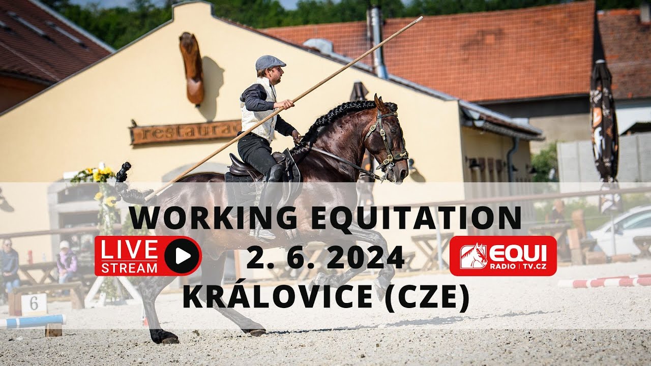 LIVE 🔴 Working Equitation Královice (CZE) 2. 6. 2024 Total Horse