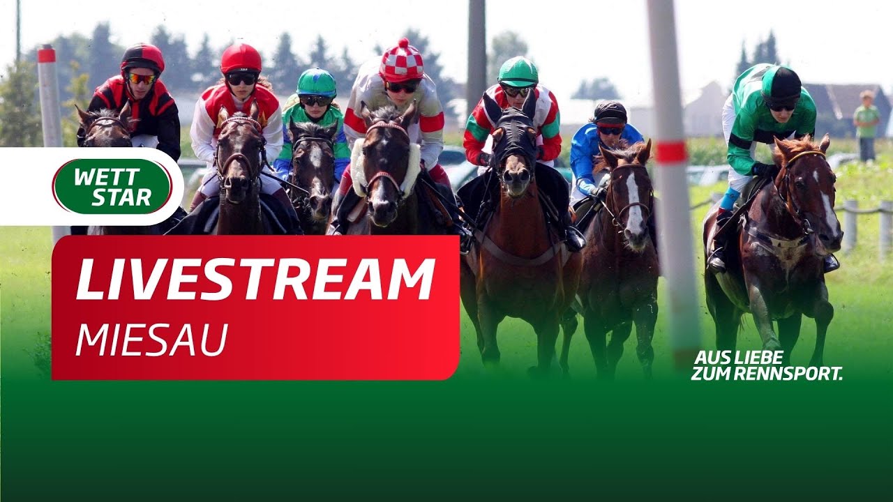 Livestream 31 05 Miesau Total Horse Channel Equestrian TV livestream-31-05-miesau-total-horse-channel-equestrian-tv