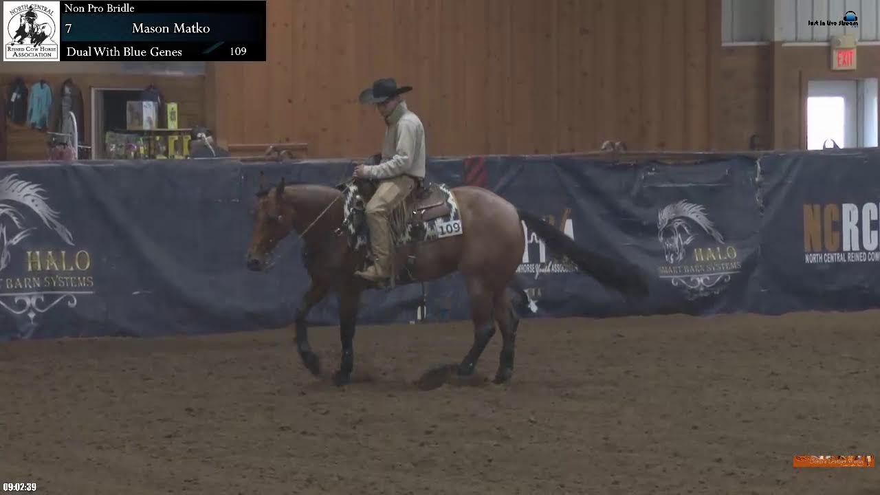 NCRCHA March Show March 10th, 2024 Total Horse Channel Equestrian TV