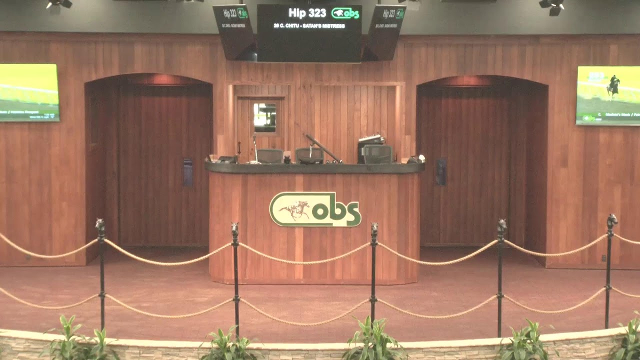 OBS June Sale 2YO & HRA LIVE Total Horse Channel Equestrian TV