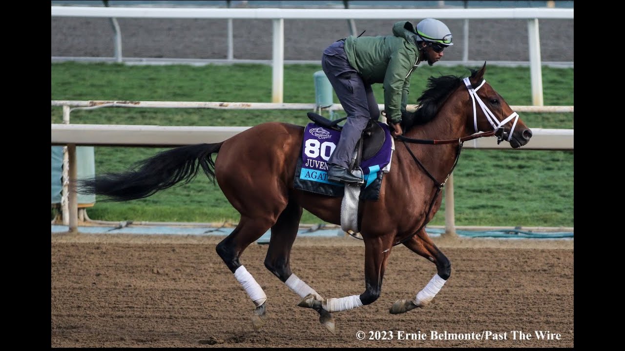 Past The Wire TV Kentucky Derby Radar, Sam F. Davis Stakes Preview