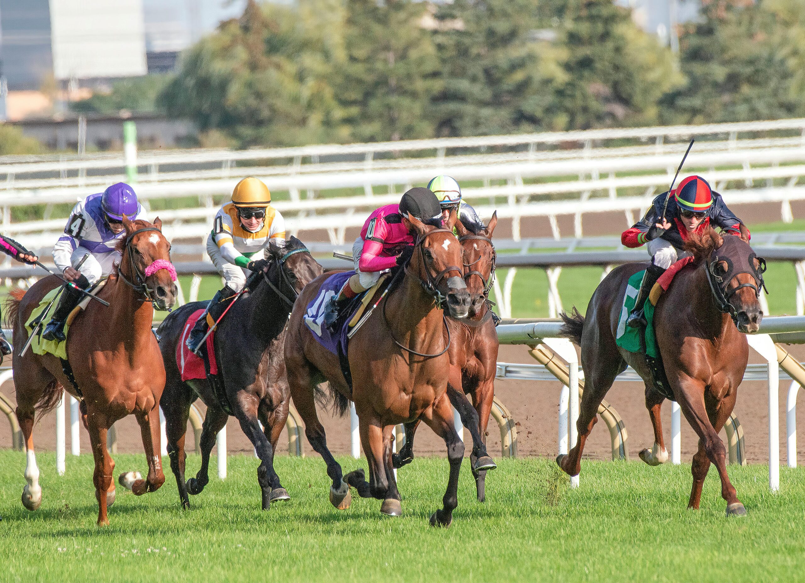 Get To Know The top 5 2024 Breeders’ Cup Juvenile Turf Sprint Total